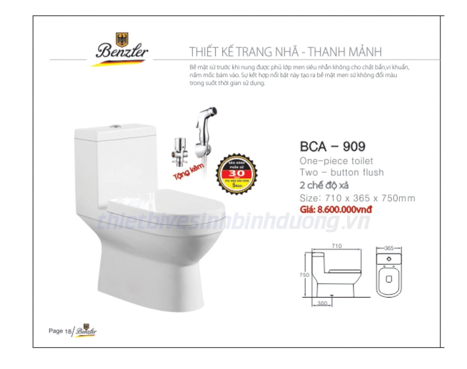 Bồn cầu sứ cao cấp Benzler BCA-909